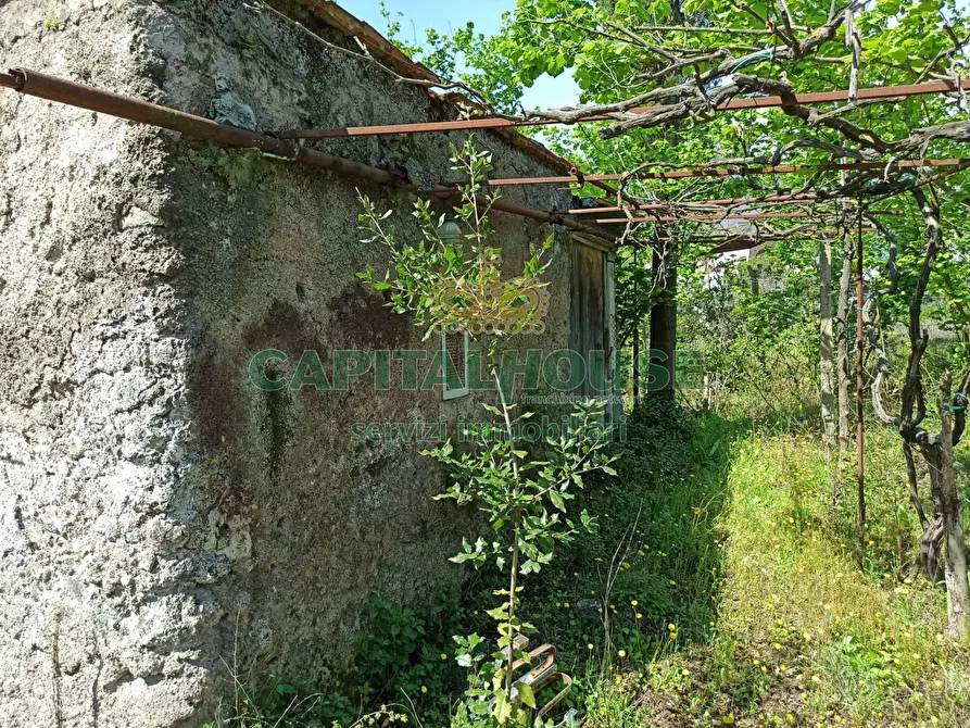 Immagine 5 di Terreno agricolo in vendita  in san giuseppe vesuviano a San Giuseppe Vesuviano