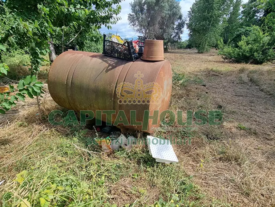 Immagine 4 di Terreno agricolo in vendita  a Capodrise