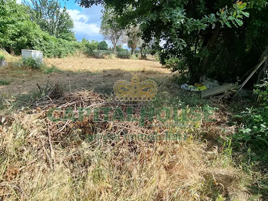 Immagine 6 di Terreno agricolo in vendita  a Capodrise