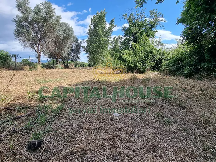 Immagine 1 di Terreno agricolo in vendita  a Capodrise