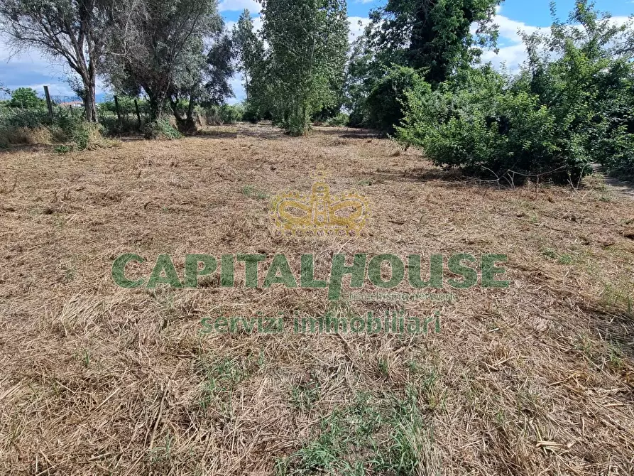 Immagine 7 di Terreno agricolo in vendita  a Capodrise