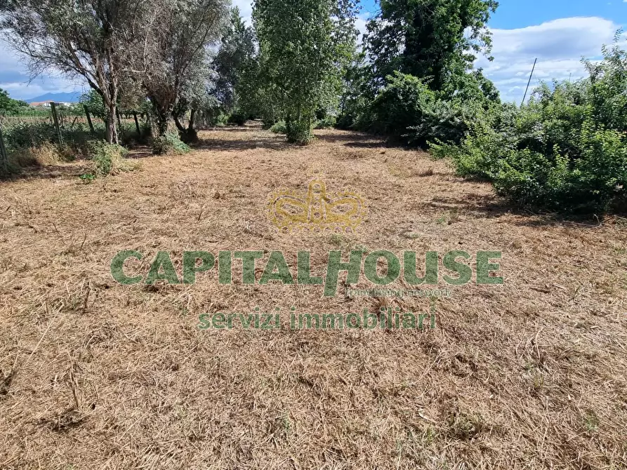 Immagine 8 di Terreno agricolo in vendita  a Capodrise