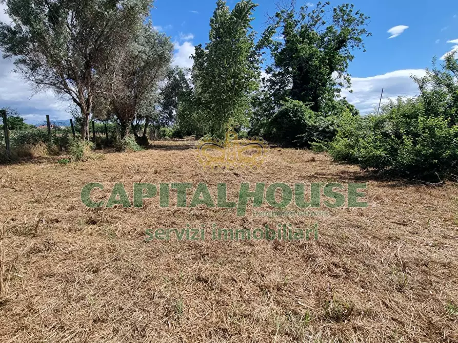 Immagine 9 di Terreno agricolo in vendita  a Capodrise