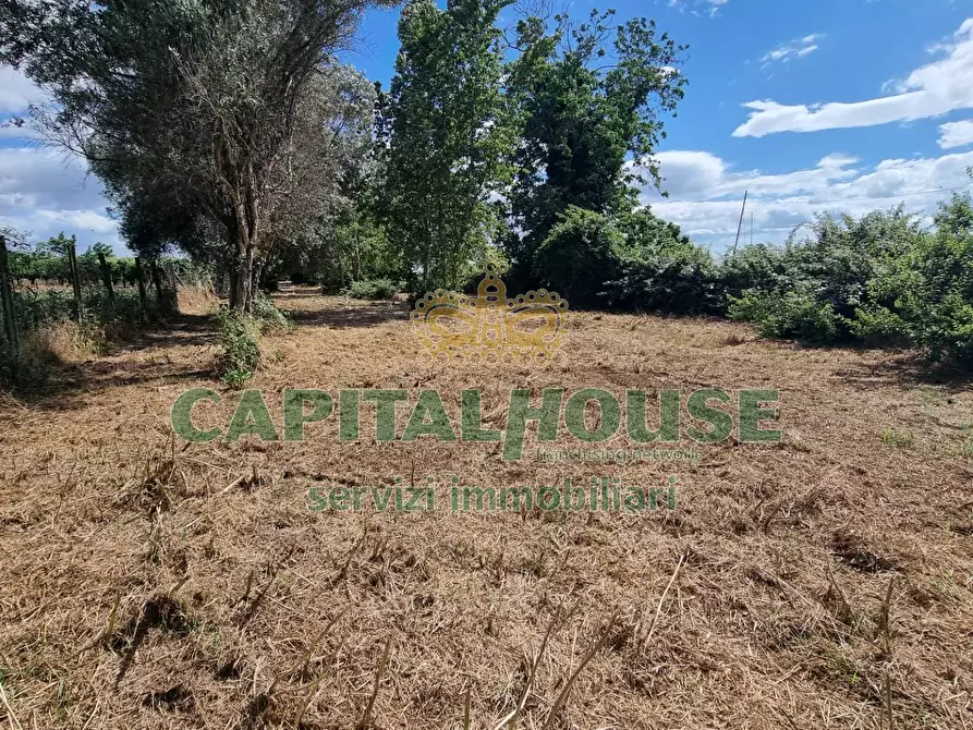 Immagine 11 di Terreno agricolo in vendita  a Capodrise