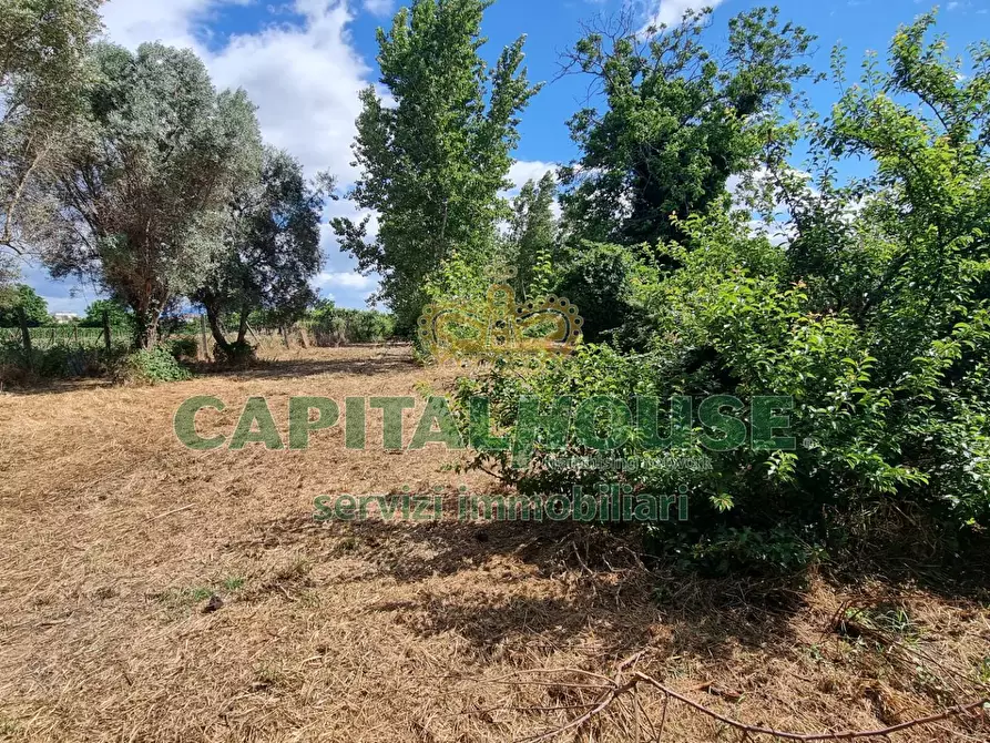 Immagine 12 di Terreno agricolo in vendita  a Capodrise