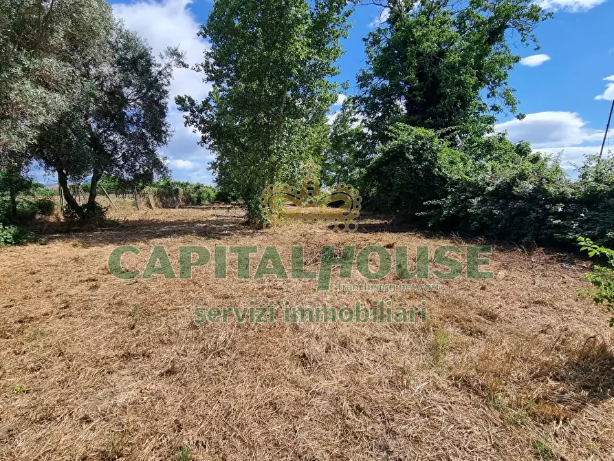 Immagine 13 di Terreno agricolo in vendita  a Capodrise