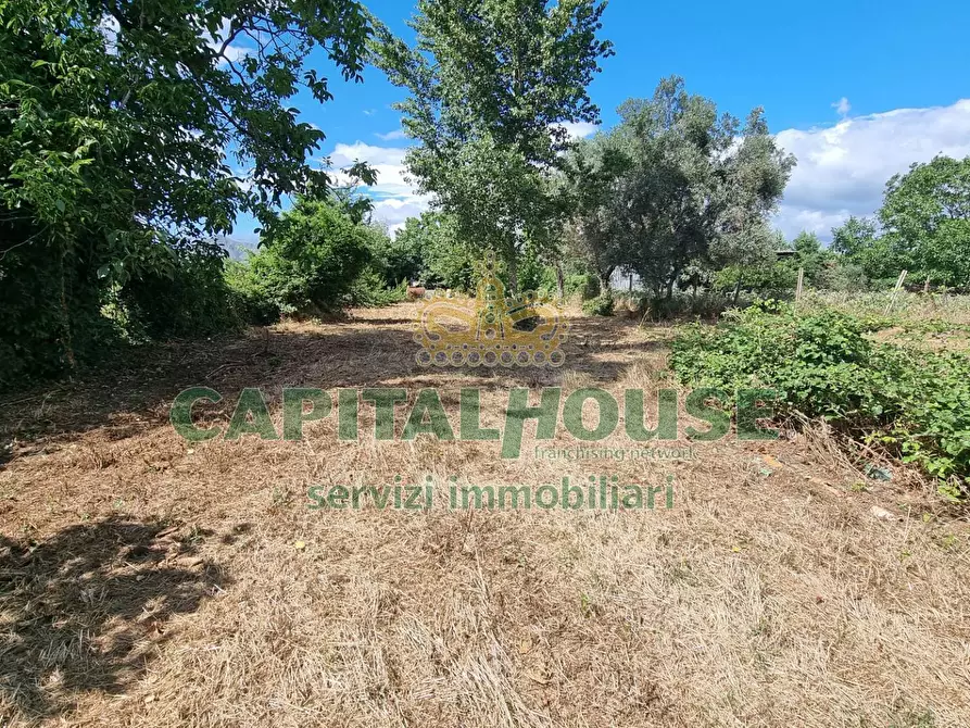 Immagine 17 di Terreno agricolo in vendita  a Capodrise