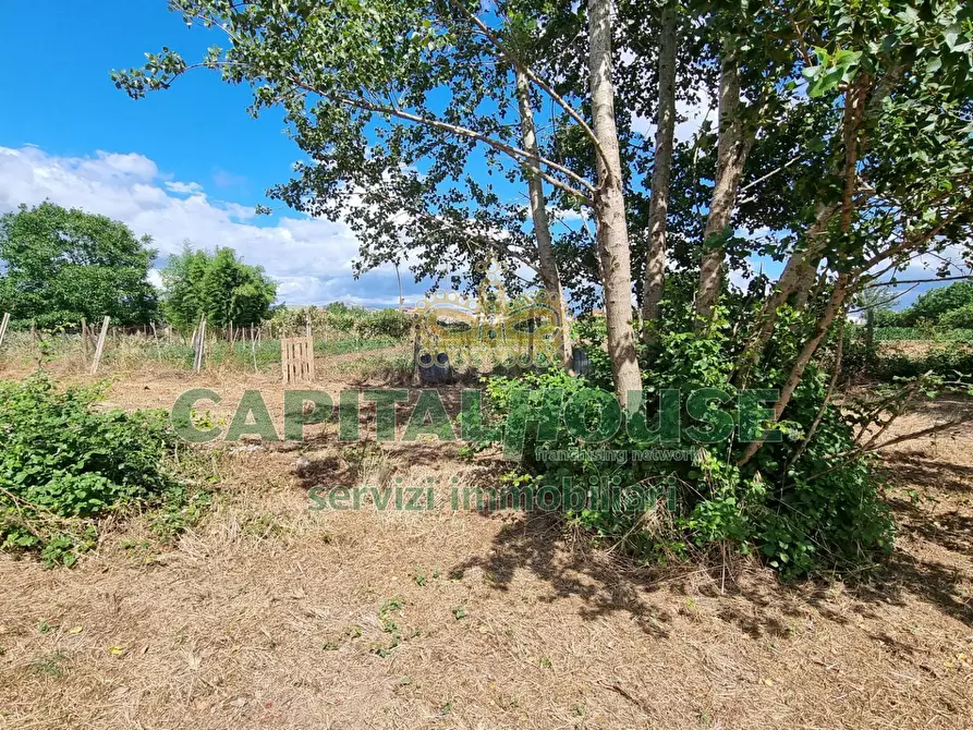 Immagine 19 di Terreno agricolo in vendita  a Capodrise
