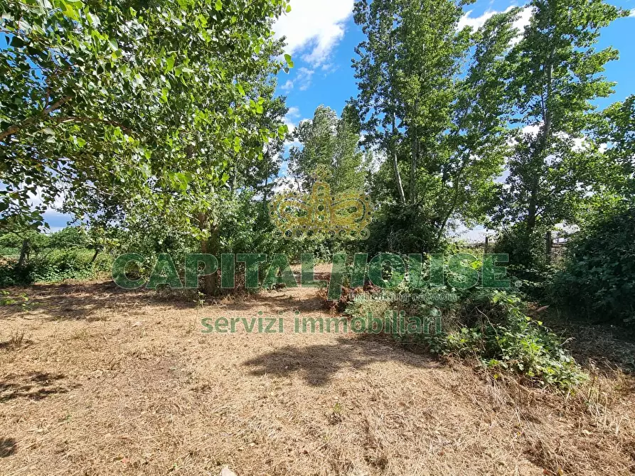 Immagine 20 di Terreno agricolo in vendita  a Capodrise