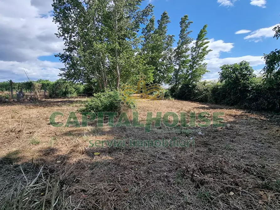 Immagine 21 di Terreno agricolo in vendita  a Capodrise