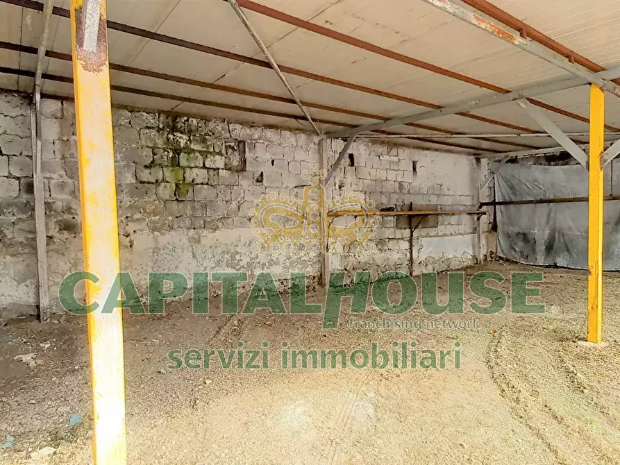 Immagine 5 di Terreno agricolo in affitto  in Zona variante a San Prisco