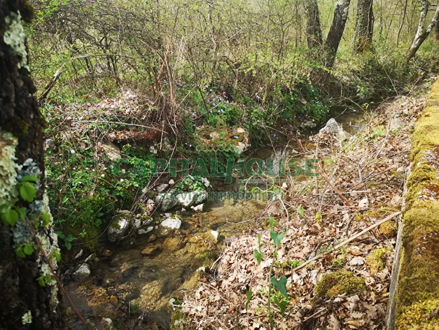 Immagine 41 di Casa indipendente in vendita  a Castel Di Sasso