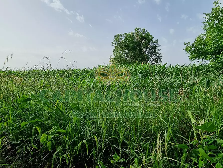 Immagine 3 di Albergo/B&B/Residence in vendita  a Marcianise