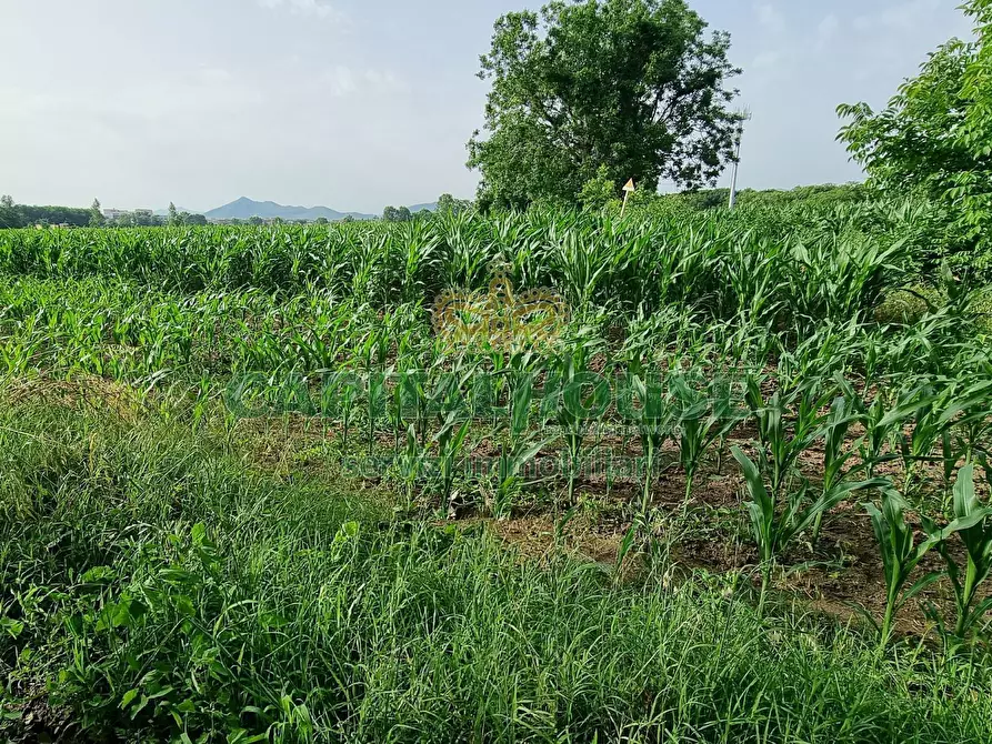 Immagine 4 di Albergo/B&B/Residence in vendita  a Marcianise