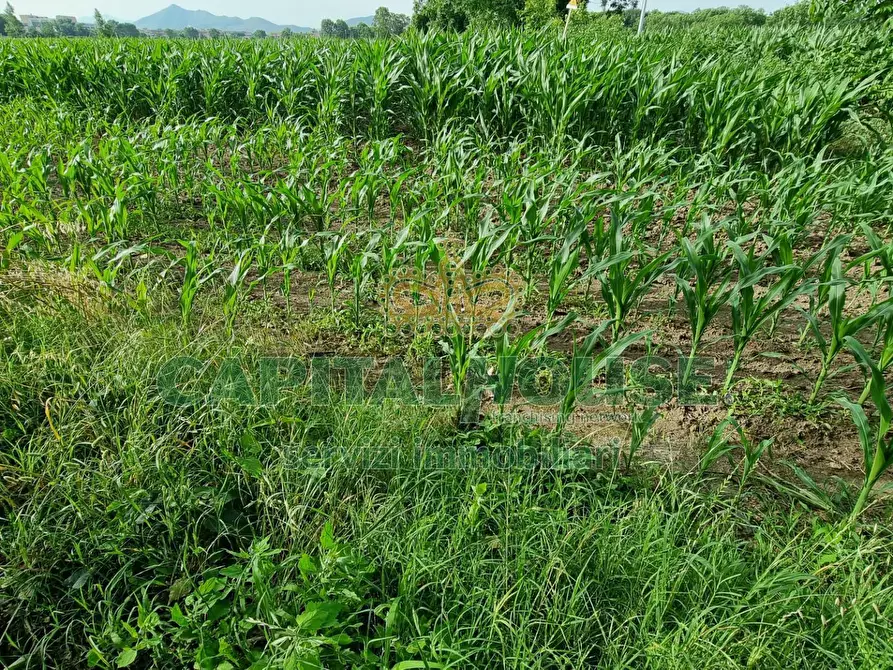 Immagine 5 di Albergo/B&B/Residence in vendita  a Marcianise