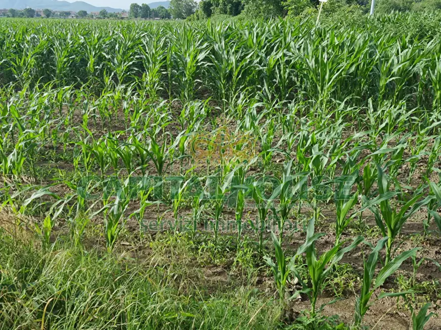 Immagine 8 di Albergo/B&B/Residence in vendita  a Marcianise