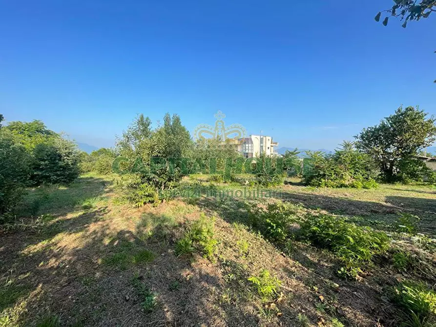 Immagine 9 di Terreno agricolo in vendita  in via Recupe a Ottaviano