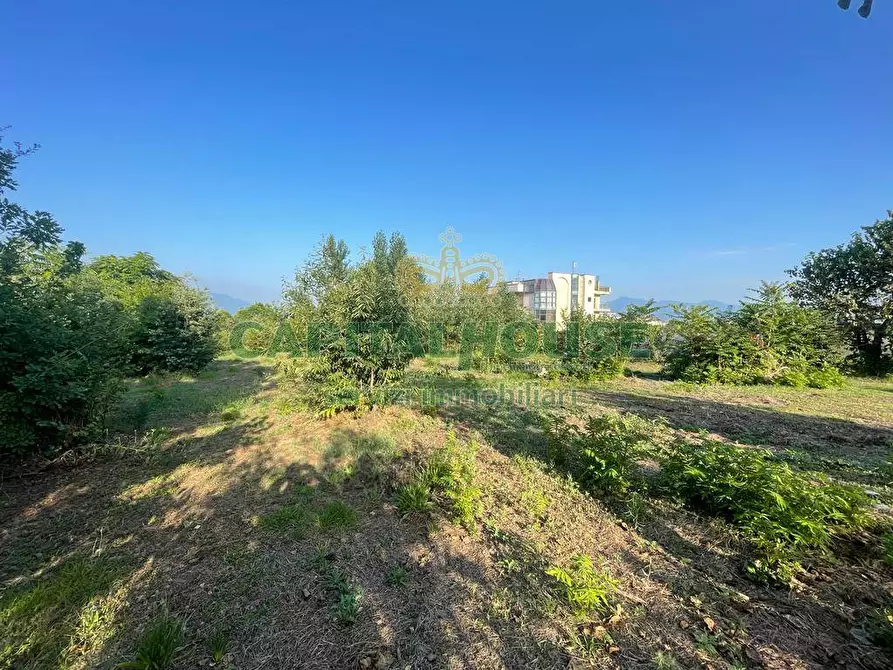 Immagine 10 di Terreno agricolo in vendita  in via Recupe a Ottaviano