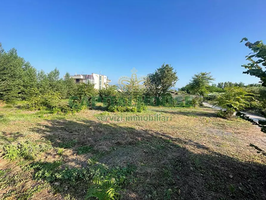 Immagine 11 di Terreno agricolo in vendita  in via Recupe a Ottaviano