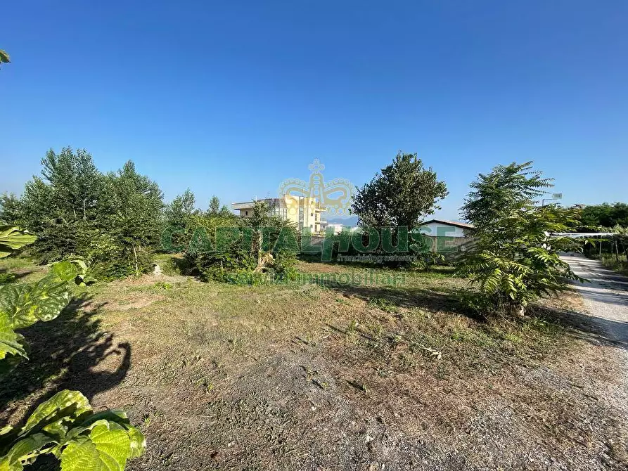 Immagine 14 di Terreno agricolo in vendita  in via Recupe a Ottaviano