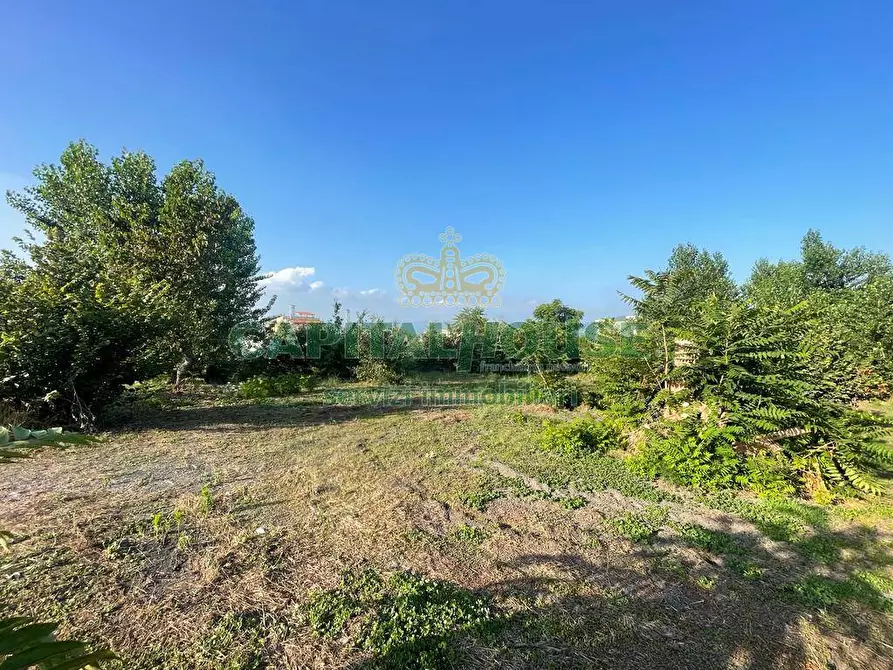 Immagine 13 di Terreno agricolo in vendita  in via Recupe a Ottaviano