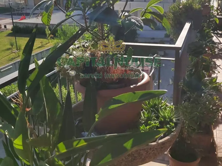 Immagine 19 di Appartamento in vendita  in Via Patturelli a Capodrise