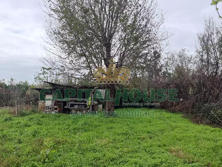 Immagine 3 di Terreno agricolo in vendita  a Marcianise