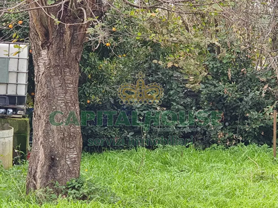 Immagine 4 di Terreno agricolo in vendita  a Marcianise