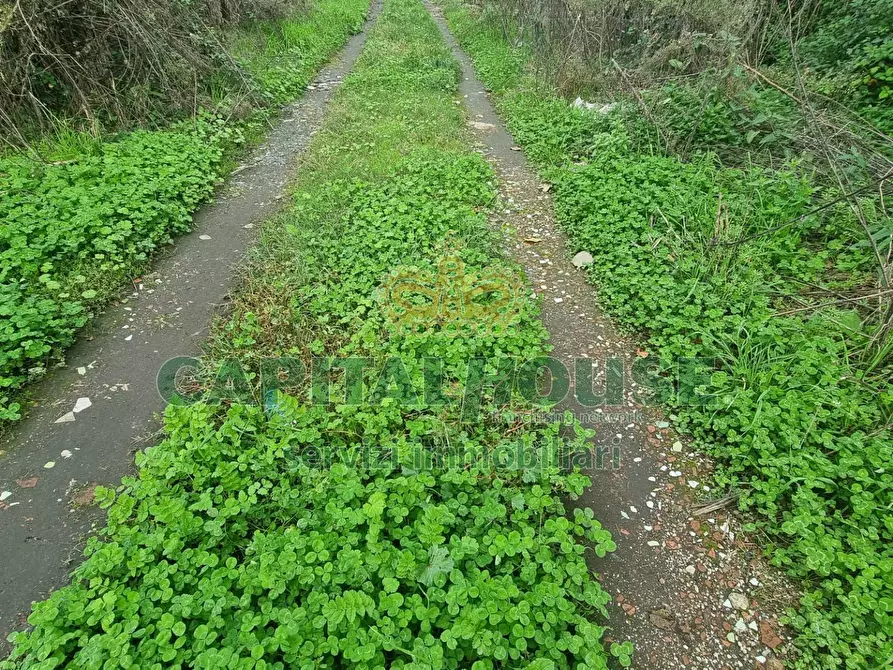 Immagine 6 di Terreno agricolo in vendita  a Marcianise