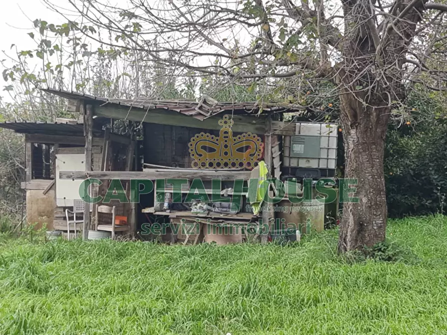 Immagine 7 di Terreno agricolo in vendita  a Marcianise