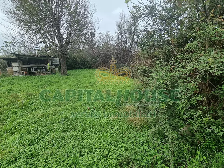 Immagine 8 di Terreno agricolo in vendita  a Marcianise