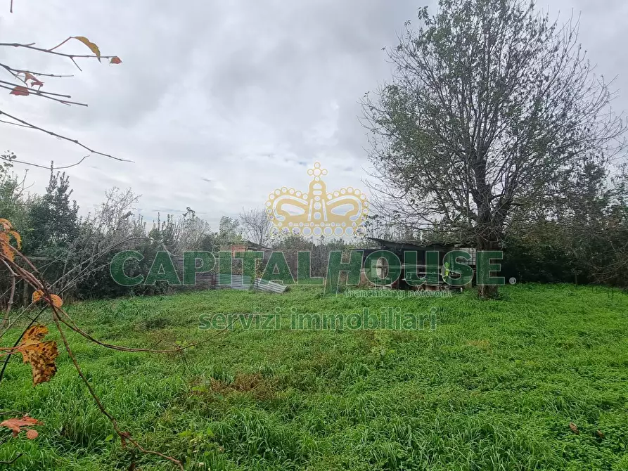 Immagine 9 di Terreno agricolo in vendita  a Marcianise