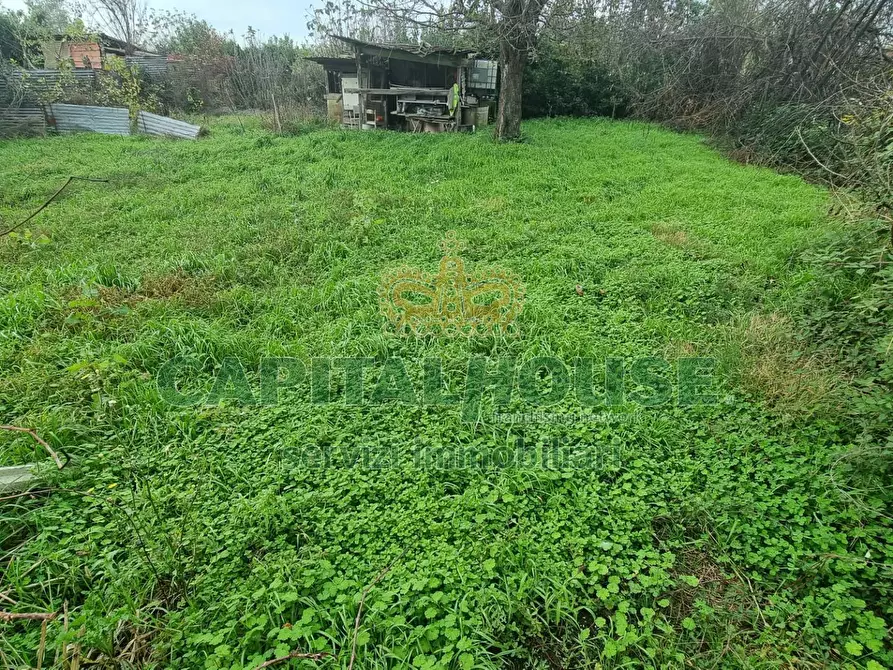 Immagine 10 di Terreno agricolo in vendita  a Marcianise