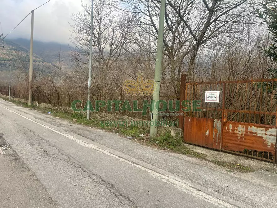 Immagine 1 di Terreno agricolo in vendita  a Avella