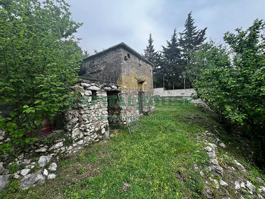 Immagine 2 di Terreno agricolo in vendita  in mugnano del cardinale a Mugnano Del Cardinale