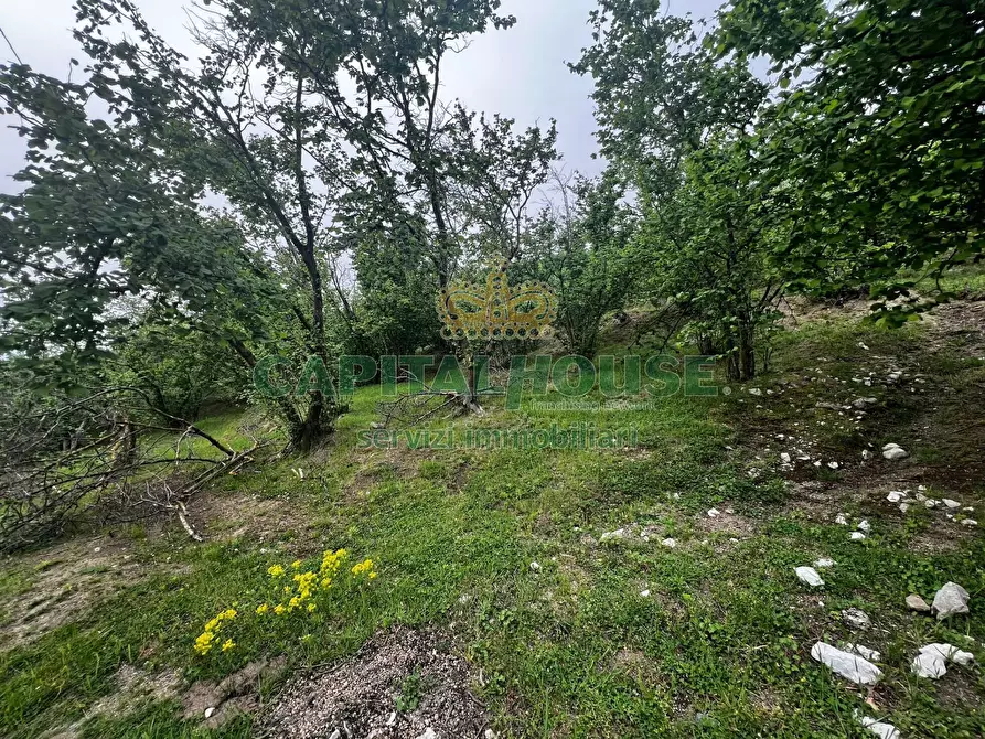 Immagine 3 di Terreno agricolo in vendita  in mugnano del cardinale a Mugnano Del Cardinale