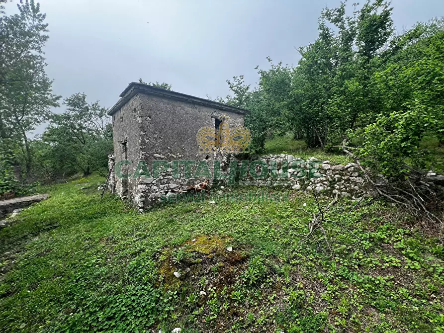 Immagine 4 di Terreno agricolo in vendita  in mugnano del cardinale a Mugnano Del Cardinale