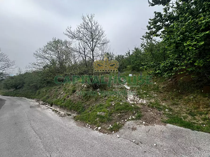 Immagine 9 di Terreno agricolo in vendita  in mugnano del cardinale a Mugnano Del Cardinale