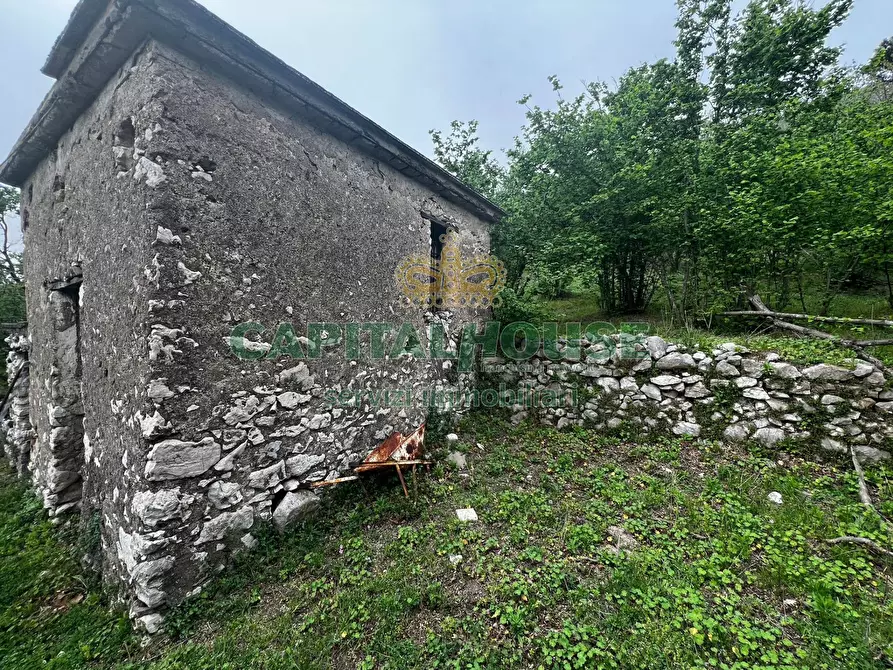 Immagine 10 di Terreno agricolo in vendita  in mugnano del cardinale a Mugnano Del Cardinale