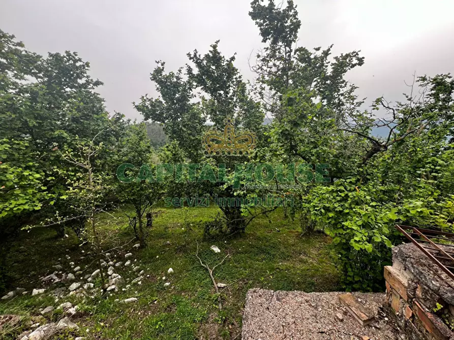 Immagine 14 di Terreno agricolo in vendita  in mugnano del cardinale a Mugnano Del Cardinale