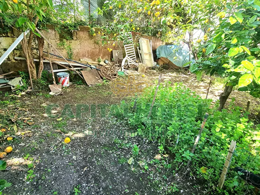 Immagine 3 di Appartamento in vendita  a Macerata Campania