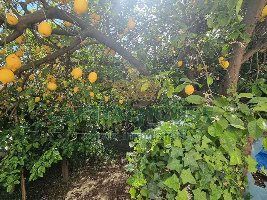 Immagine 36 di Appartamento in vendita  a Macerata Campania