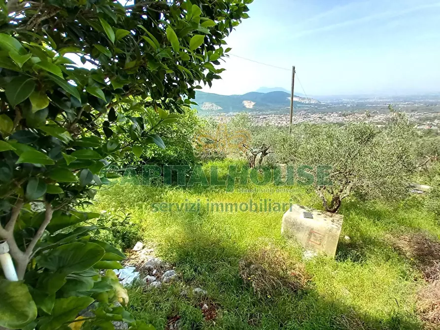Immagine 27 di Casa indipendente in vendita  in via tora a Avella