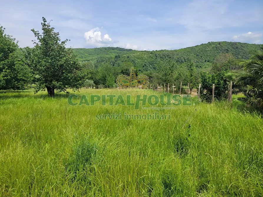 Immagine 4 di Terreno agricolo in vendita  in Via San Vito a Mercato San Severino