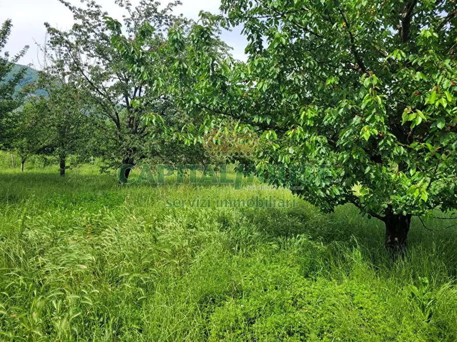 Immagine 7 di Terreno agricolo in vendita  in Via San Vito a Mercato San Severino