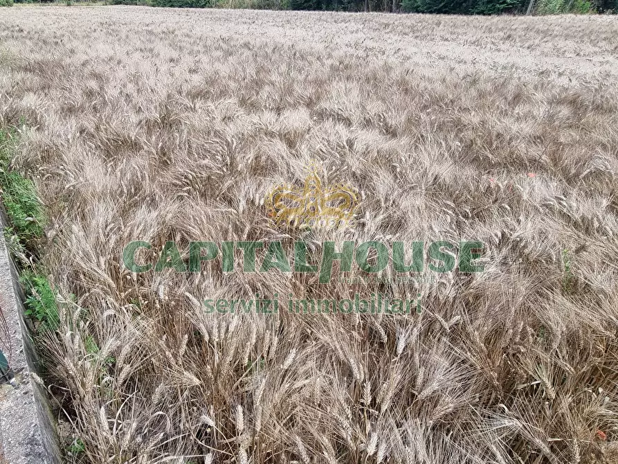 Immagine 1 di Terreno agricolo in vendita  a Capodrise