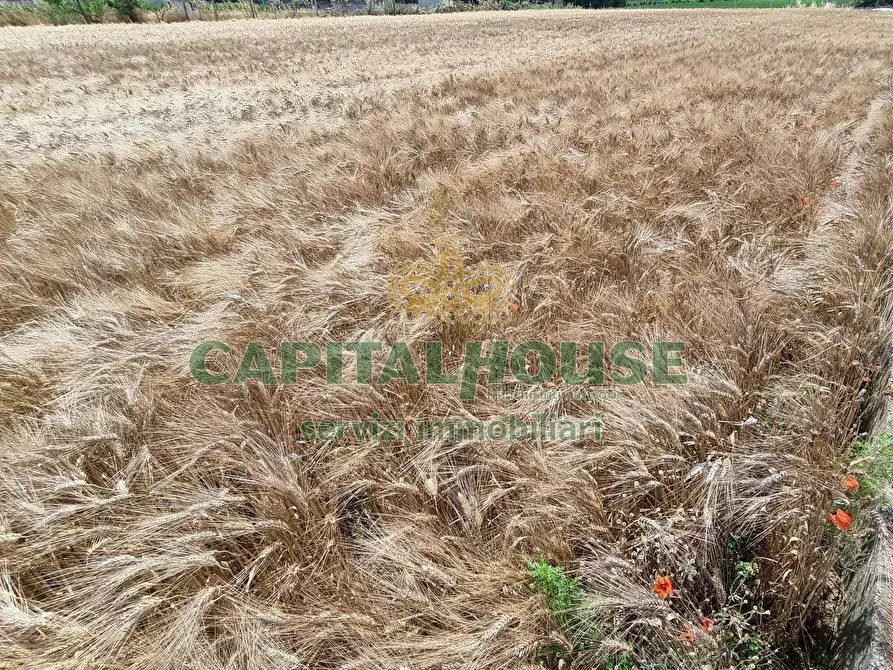 Immagine 3 di Terreno agricolo in vendita  a Capodrise