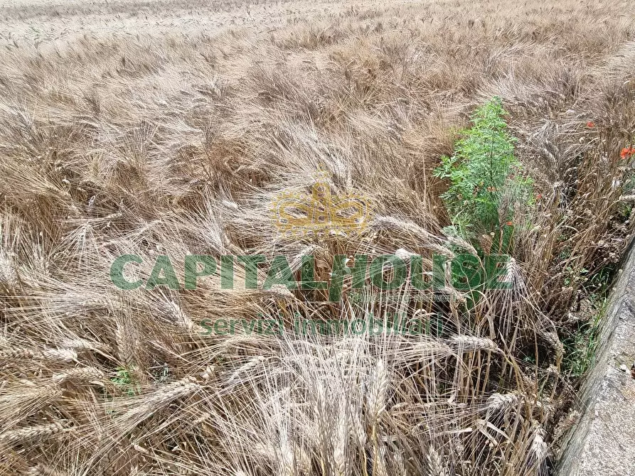 Immagine 4 di Terreno agricolo in vendita  a Capodrise