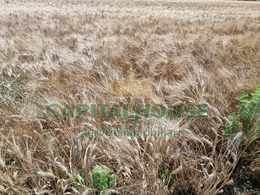Immagine 5 di Terreno agricolo in vendita  a Capodrise
