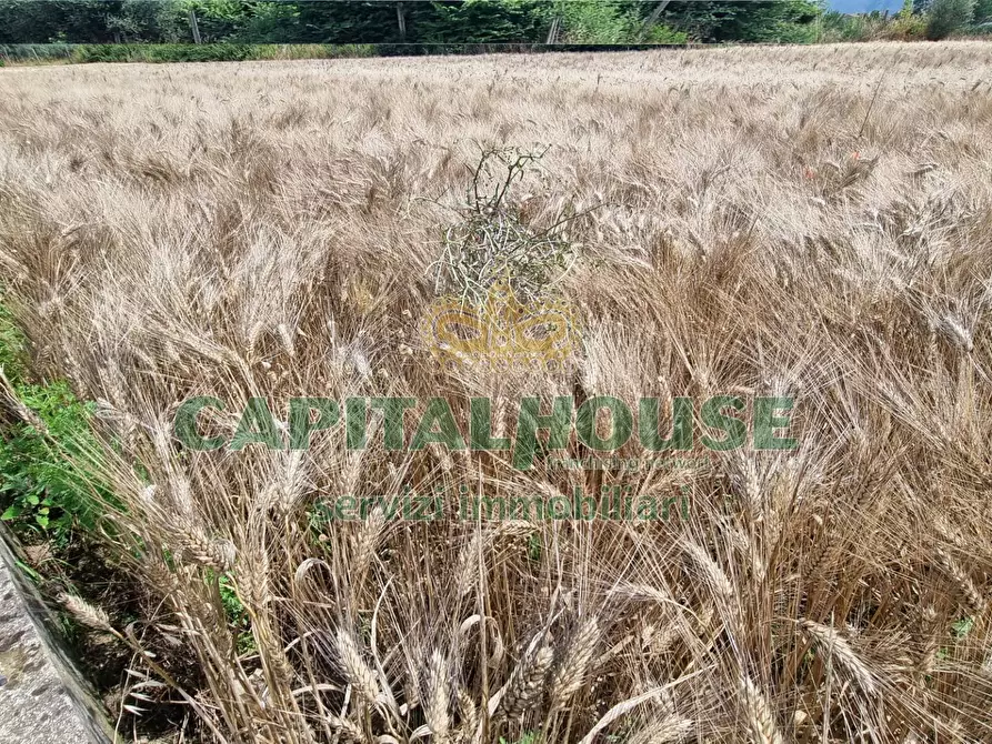 Immagine 6 di Terreno agricolo in vendita  a Capodrise